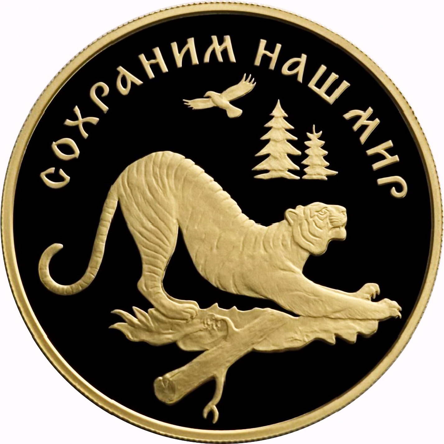 100 рублей 1996, ЛМД, тигр, Золото