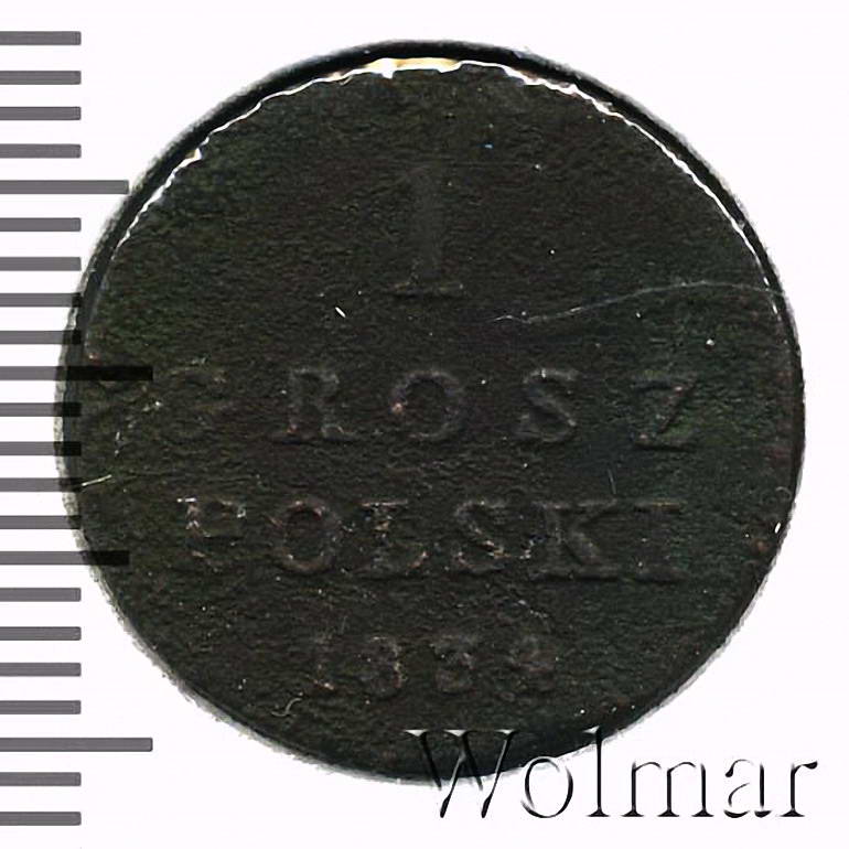 1 грош 1834, IP